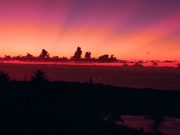 Palm trees silhouetted against a red sunset on Saipan